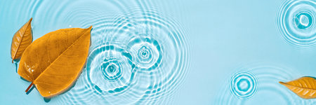Yellow leaves on blue water with circles and ripples from drops, splashes Natural autumn backgroundの写真素材
