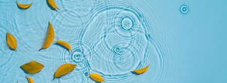 Abstract autumn background, falling leaves from yellow leaves on water with raindropsの写真素材