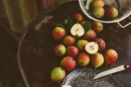 Scattered pears on a wooden table, harvesting.の写真素材