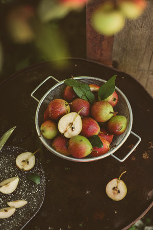 Many ripe pears in a colander on wooden garden tableの写真素材