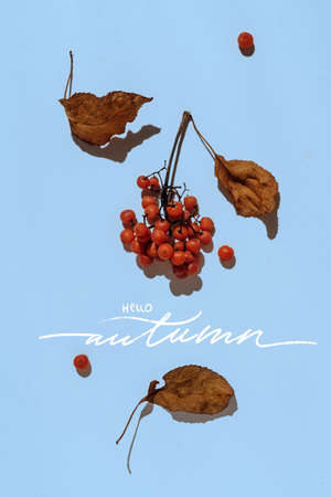 Autumn composition. Frame made of autumn dried leaves on blue background. Flat lay, top view, copy spaceの写真素材