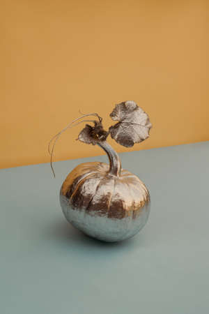 Autumn background with a decorated silver pumpkin on pastel backgroundの写真素材
