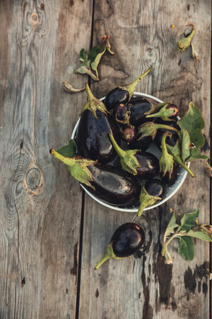 Different eggplants on a white dish and a wooden table in the vegetable garden. Vegetable authentic still life, autumn harvestの写真素材