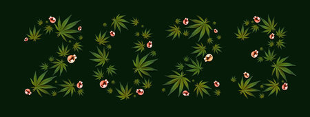 Numeral 2023 from the leaves of marijuana, cannabis on a black background