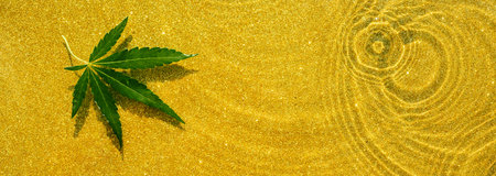 Leaf of marijuana, cannabis on a yellow shiny transparent surface with dropsの写真素材