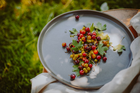 Fresh, ripe multi-colored wild berries with leaves on platterの写真素材