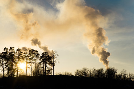 Silhouettes of trees against a factory releasing emissions at sunset, illustrating the environmental cost of industrialization, showcasing the environmental impact of human activityの写真素材