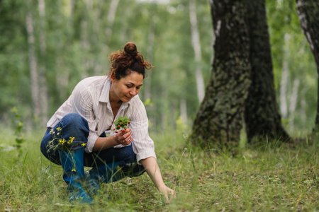 Woman kneeling and picking wild strawberry in green forest on summer day. Female harvesting forest berries enjoying rural lifestyle, nature and eco-friendly livingの写真素材