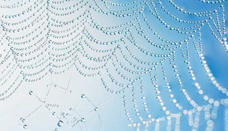 Transparent water droplets on web macro pattern with copy space. Dew droplets forming web lines with soft background for beauty design Bannerの写真素材