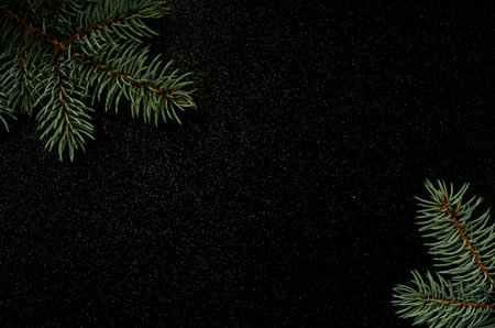 Christmas background with spruce branches on a dark black surface. Festive template with copy space...