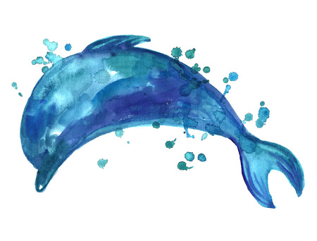 Watercolor dolphin.の写真素材