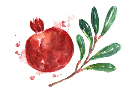 Watercolor pomegranate with green leaves.の写真素材