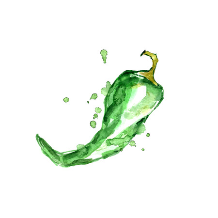 Watercolor green pepper.の写真素材
