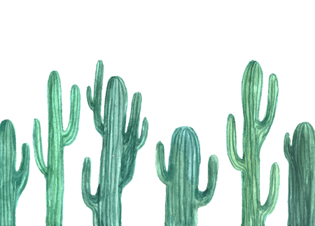 Watercolor cactuses.の写真素材