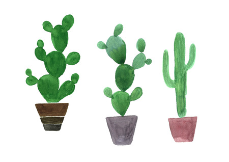 Watercolor three cactus botanical tree.の写真素材