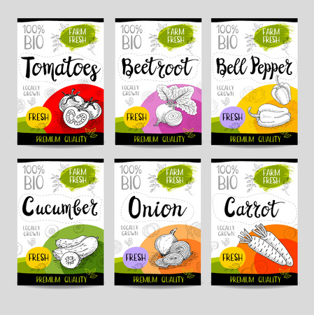 Set of colorful stickers in sketch style, food and spices, white background. Carrot, onions, tomato, bell pepper, beet. Bio vegetables, farm, fresh. locally grown. Hand drawn vector illustration.のイラスト素材