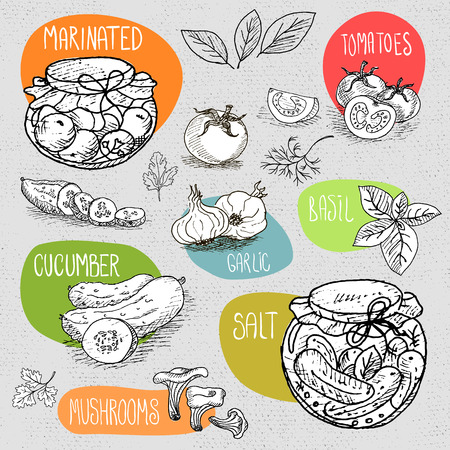 Set of stickers in sketch style, food and spices, old paper textured background. Pickles in the jar, dill, cucumber, tomato, garlic, bay leaf.のイラスト素材
