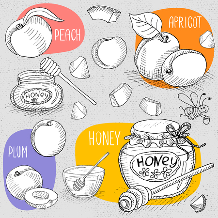 Set of stickers in sketch style, food and spices, old paper textured background. Sweet Set with honey, peach, apricot, plum and funny bee. Hand drawn vector illustration.のイラスト素材