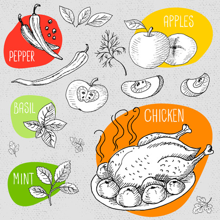 Set of stickers in sketch style, food and spices, old paper textured background. Roasted grill chicken seasoned with apples and spices. Chicken, apples, pepper, mint, basil. Hand drawn vector illustration.のイラスト素材