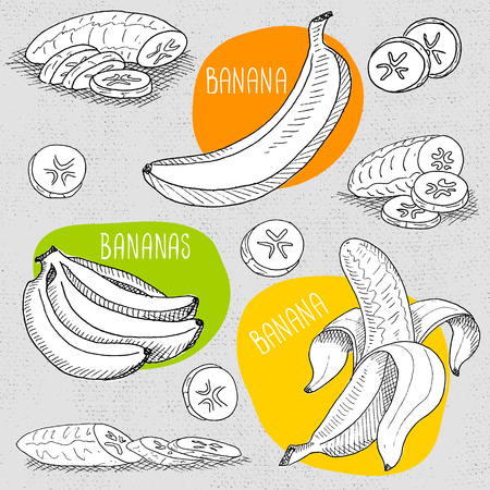 Set of stickers in sketch style, food and spices, old paper textured background. Fruit set with peeled banana, sliced banana, bunch of bananas. Hand drawn vector illustration.のイラスト素材