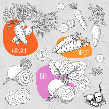 Set of stickers in sketch style, food and spices, old paper textured background. Vegetable set beet with leaves, sliced ââbeets, carrots with leaves, sliced ââcarrots. Hand drawn vector illustration.のイラスト素材