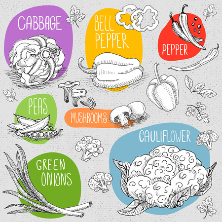 Set of stickers in sketch style, food and spices, old paper textured background. Vegetables set cabbage, cauliflower, green onions, mushrooms, bell pepper, peas. Hand drawn illustration.のイラスト素材