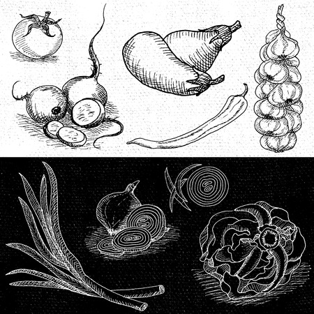 Set of chalk hand drawn, in sketch style, food and spices, black and white chalkboard background. Hand drawn vector illustration.のイラスト素材
