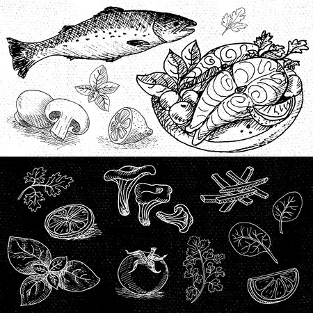 Set of chalk hand drawn, in sketch style, food and spices, black and white chalkboard background. Fish, trout, salmon, tomatoes, parsley, lemon, basil, mushrooms. Hand drawn vector illustration.のイラスト素材