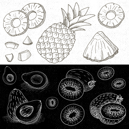 Set of chalk hand drawn, in sketch style, food and spices, black and white chalkboard background. Fruit set pineapple, kiwi, avocado, sliced. Hand drawn vector illustration.のイラスト素材