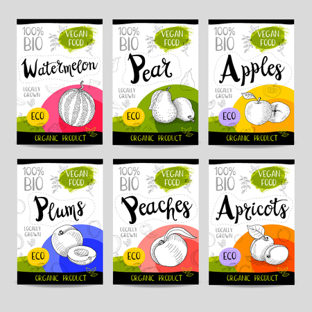 Set of colorful stickers in sketch style, food, spices, white background. Watermelon, pear, apples, plums, peaches, apricots. Organic, fresh, bio, eco. Hand drawn vector illustration.のイラスト素材