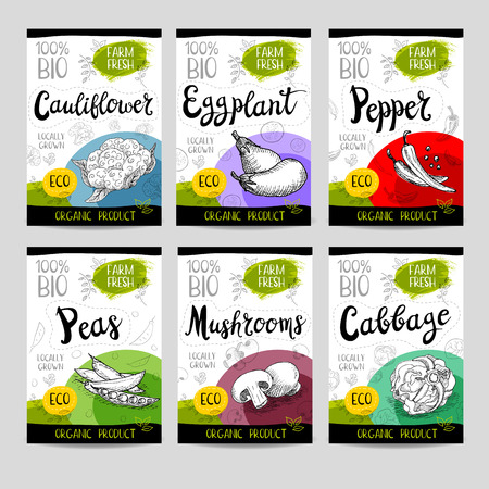 Set of colorful stickers in sketch style, food and spices, white background. Garlic, pepper, basil, spinach, mint, green onion. Vegetables, farm fresh. locally grown. Hand drawn vector illustration.のイラスト素材