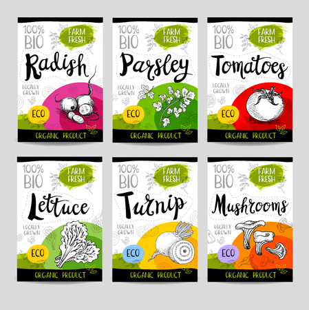 Set of colorful stickers in sketch style, food, spices, white background. Radish, parsley, tomatoes, lettuce, turnip, mushrooms. Vegetables, farm fresh, locally grown. Hand drawn vector illustration.のイラスト素材