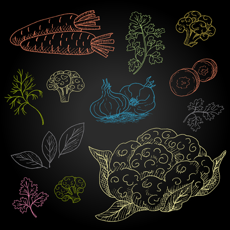 Set hand-drawn food ingredients on chalkboard. Hand drawn vector illustration. Set with elements vegetables, carrots, cauliflower, dill, parsley, bay leaf, garlic.のイラスト素材