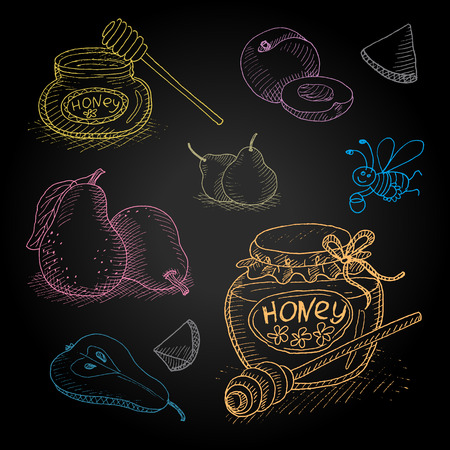 Set hand-drawn food ingredients on chalkboard. Hand drawn vector illustration. Set with elements fruit, honey, pear, bee, honey spoon, bank, peach.のイラスト素材
