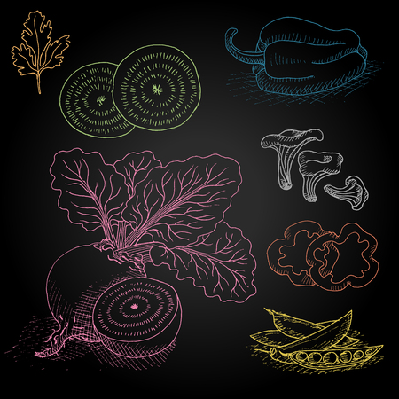 Set hand-drawn food ingredients on chalkboard. Hand drawn vector illustration. Set with elements vegetables, bell peppers, beets, parsley, leaves, pieces, peas, mushrooms.のイラスト素材