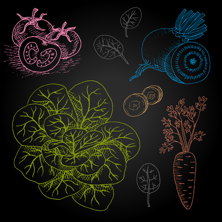 Set hand-drawn food ingredients on chalkboard. Hand drawn vector illustration. Set with elements vegetables, beets, spinach, slices, carrots, tomatoes.のイラスト素材