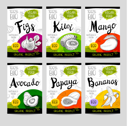 Set of colorful stickers in sketch style, food, spices, white background Figs, kiwi, mango, avocado, papaya, bananas Fruit, vegan, naturally, fresh, eco Hand drawn vector illustrationのイラスト素材