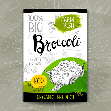 Colorful label in sketch style, food, spices, textured backgroun Broccoli. Naturally fresh eco, bio, vegan food, sticker. Hand drawn vector illustration.のイラスト素材