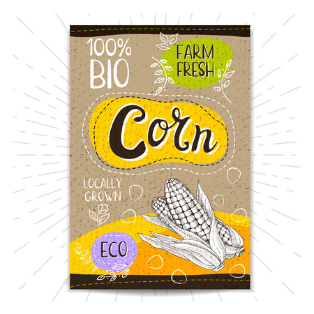 Colorful label in sketch style, food, spices, cardboard textured background. Corn Vegetables. Bio, eco, farm, fresh. locally grown. Hand drawn vector illustrationのイラスト素材