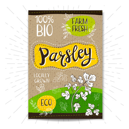 Colorful label in sketch style, food, spices, cardboard textured background. Parsley Vegetables. Bio, eco, farm, fresh. locally grown. Hand drawn vector illustrationのイラスト素材
