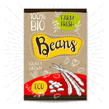 Colorful label in sketch style, food, spices, cardboard textured background. Beans. Vegetables. Bio, eco, farm, fresh. locally grown. Hand drawn vector illustration.のイラスト素材