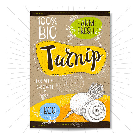 Colorful label in sketch style, food, spices, cardboard textured background. Turnip. Vegetables. Bio, eco, farm, fresh. locally grown. Hand drawn vector illustration.のイラスト素材