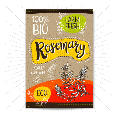 Colorful label in sketch style, food, spices, cardboard textured background. Rosemary Spice. Bio, eco, farm, fresh. locally grown. Hand drawn vector illustrationのイラスト素材