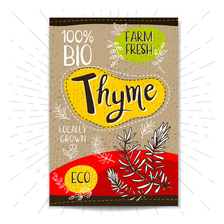 Colorful label in sketch style, food, spices, cardboard textured background. Thyme Spice. Bio, eco, farm, fresh. locally grown. Hand drawn vector illustrationのイラスト素材