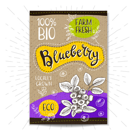 Colorful label in sketch style, food, spices, cardboard textured background. Blueberry Fruits. Bio, eco, farm, fresh. locally grown. Hand drawn vector illustrationのイラスト素材