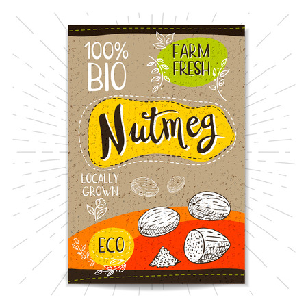 Colorful label in sketch style, food, spices, cardboard textured . Nutmeg Nuts. Bio, eco, , fresh. locally grown. Hand drawn vector illustrationのイラスト素材