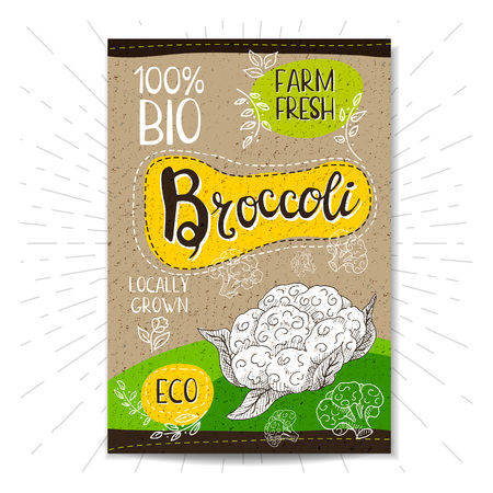 Colorful label in sketch style, food, spices, cardboard textured . Broccoli Vegetables. Bio, eco, , fresh. locally grown. Hand drawn vector illustrationのイラスト素材