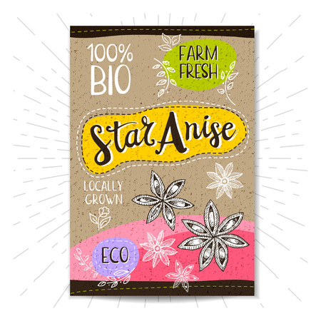 Colorful label in sketch style, food, spices, cardboard textured . Star Anise Spice. Bio, eco, , fresh. locally grown. Hand drawn vector illustrationのイラスト素材