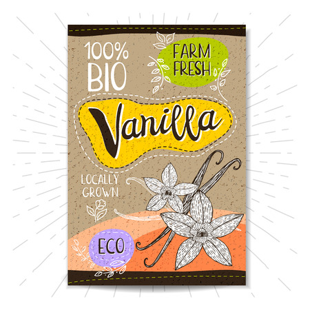 Colorful label in sketch style, food, spices, cardboard textured . Vanilla sticks, flowers Spice. Bio, eco, , fresh. locally grown Hand drawn vector illustrationのイラスト素材