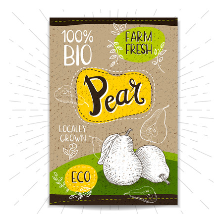 Colorful label in sketch style, food, spices, cardboard textured background. Pear Fruits. Bio, eco, farm, fresh. locally grown. Hand drawn vector illustrationのイラスト素材